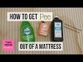 How to get PEE out of a MATTRESS! ⚡ Amazing