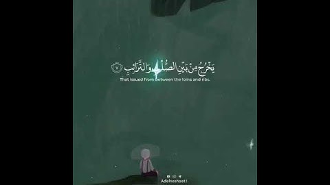 الشيخ مشاري العفاسي {فلينظر الإنسان مما خلق} حالات واتساب قرآن كريم♥️💚💙