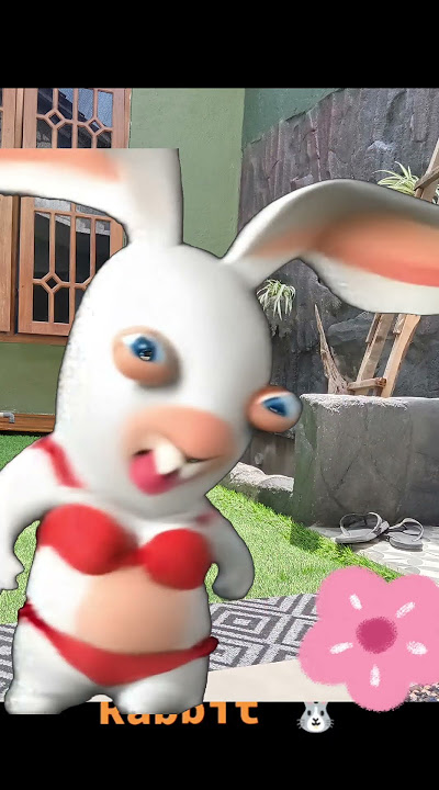 Rabit Gak Jelas#shortvideo #vidioanimasi