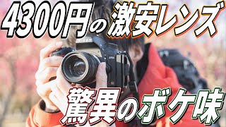 4300円の激安オールドレンズの写りが神がかってた！！！【ヘリオス44】