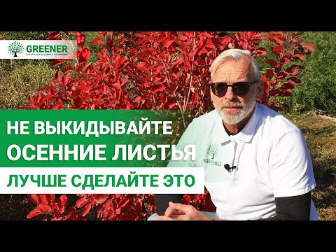 ОТЛИЧНОЕ УДОБРЕНИЕ С ОПАВШЕЙ ЛИСТВЫ. Как использовать листву с пользой?