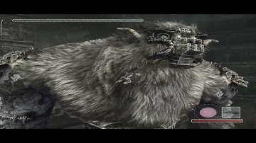 Aethersx2 Turnip - Shadow Of The Colossus Part 4 - Poco F3