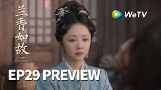 【Preview EP29】《兰香如故》Against The Current｜刘学义、谭松韵