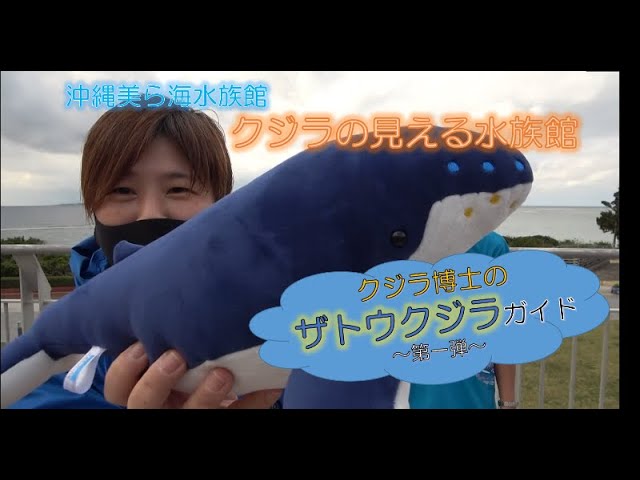 クジラの見える水族館 ～クジラ博士のザトウクジラガイド 第3弾