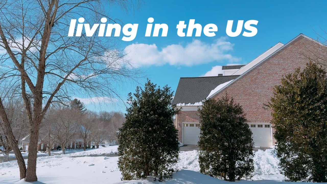 미국일상 | 폭설로 고립 그리고 시작된 폭주🔥 타코, bbq치킨, 양념갈비 | 자라 언박싱 | 미국 일상 브이로그 