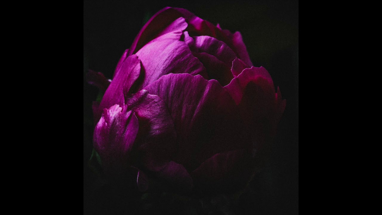 在 YouTube 上觀看「Ruin Of Romantics - Helena」 在 YouTube 上觀看「Ruin Of Romantics - Helena」