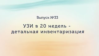 УЗИ в 20 недель - детальная инвентаризация