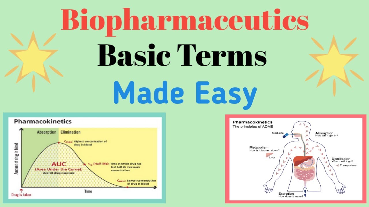 A Typical Day in the Biopharmaceutical Manufacturing Industry