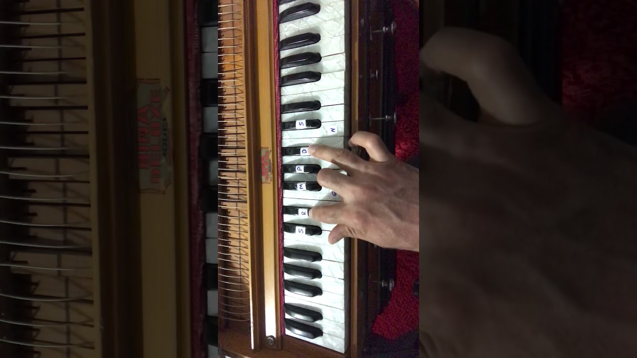 Dostet darum hamesha hamesha/ harmonium tutorial/دوستت دارم همیشه همیشه /تدریس هرمونیه