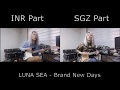 LUNA SEA - Brand New Days Guitar Cover