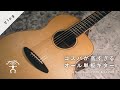 Incredible All-Solid-Top Guitars Arrived / aNueNue LF230 & LF280