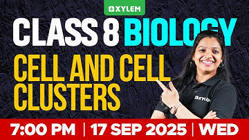 Class 8 Biology | Cell And Cell Clusters | Xylem Class 8