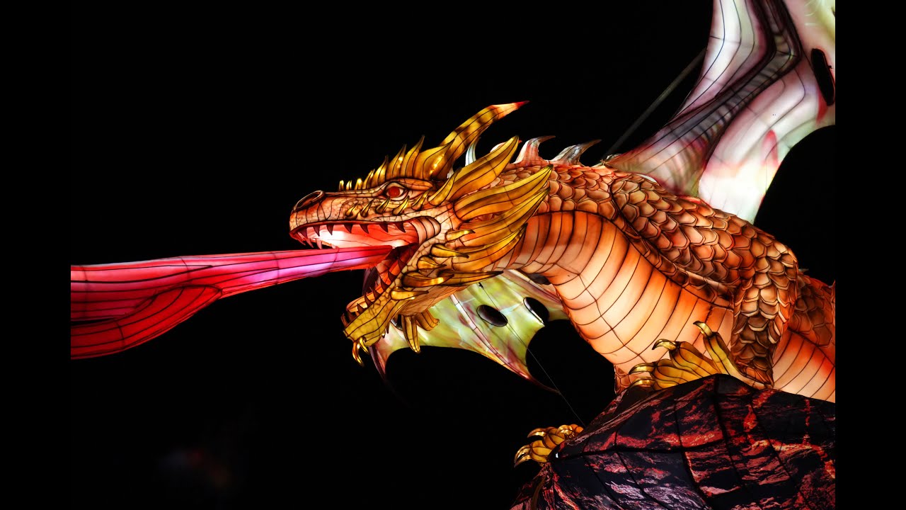 Dragons at Dream Glow