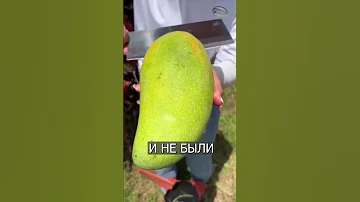 Почему в Китае фрукты растут в МЕШКАХ?