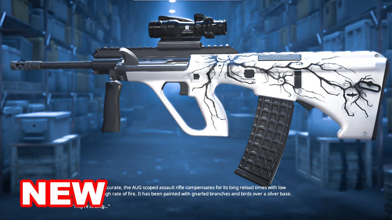 HOLY MOLY!!! THIS NEW AUG IS CRAZY🔥🔥- CS2 AUG Creep Ingame Showcase ...