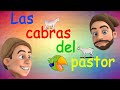 CHISTE CORTO: Las cabras del pastor - CHISTES, cuentos y bromas del loro Pepín - Videos de risa