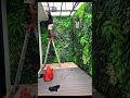 Cara Prosesnya Pembuatan Taman Vertical Garden Sintetis #tamanrumah #sintetis #jasataman #short