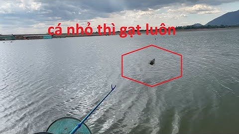 Hồ Gia Măng Đồng Nai... khi hồ-dịch-vụ móm thì hồ-thiên-nhiên cứu ta... #caucavip #caudai #carophi