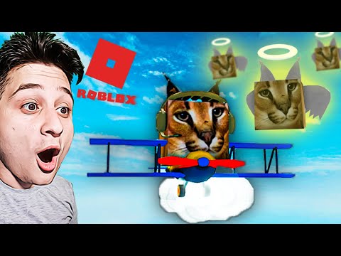 მფრივაი ფლოპა ვარ Find The Floppa Morphs roblox ubralod noobi