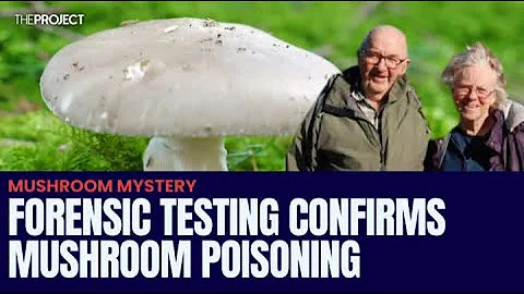 Forensic Testing Confirms Three Victims Died Of Mushroom Poisoning - DayDayNews