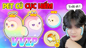 BEDY PHÁT KH.ÓC MỞ RA 2 PET CÚ CỰC HIẾM MỚI NHỜ VÀO CÁCH NÀY | PLAY TOGETHER