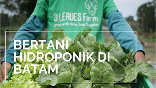 Kebun Hidroponik Dan Organik 3leaves Batam