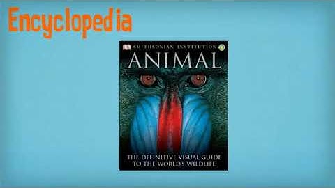 Reference Materials Part 1  Dictionary, Encycloped 480p