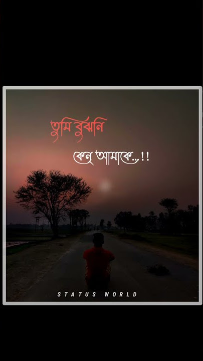 tumi bojhoni ami bolini what's app status