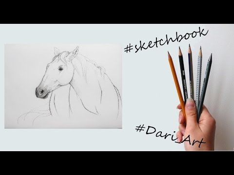 Рисуем скетчи! Как нарисовать лошадь простым карандашом! #Dari_Art