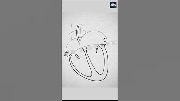 Easy way to draw human #heart :Life processes | NCERT class 10 | biology | science| CBSE syllabus