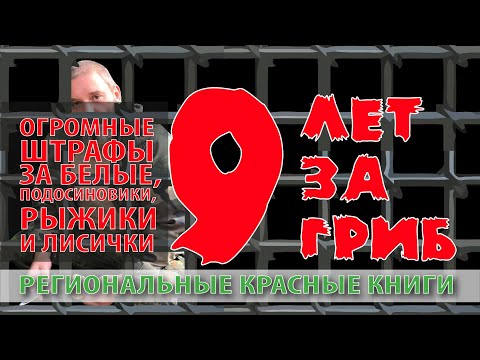 Региональные красные книги: новая ответственность. Огромные штрафы за белые, подосиновики и лисички