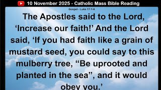 10 November 2025 Catholic Mass Bible Reading