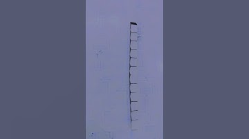 how to make frog with snake puzzle 🧩 #snake puzzle  # short video # #easypuzzles