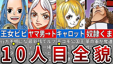 ワンピース麦わらの一味昔と今