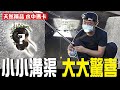 【搞野系列】超小水溝居然是男人加油站 ? 女人美容院 ! ?｜搞野Ep.10｜土虱｜九班的日常生活｜#釣魚#野味#fishing#釣り#어업