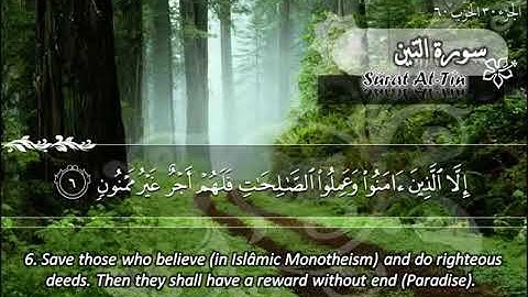 سورة التين 95 - 114 ماهر المعيقلي - مترجم ( اللغة الإنجليزية )