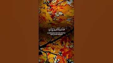 تلاوة جميلة جداً للقارئ الشيخ ياسر الدوسري #quran #yasseraldossari #islamicscripture #اكسبلور