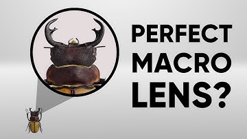 How to Choose the Perfect Macro Lenses? Macro Lenses Guide