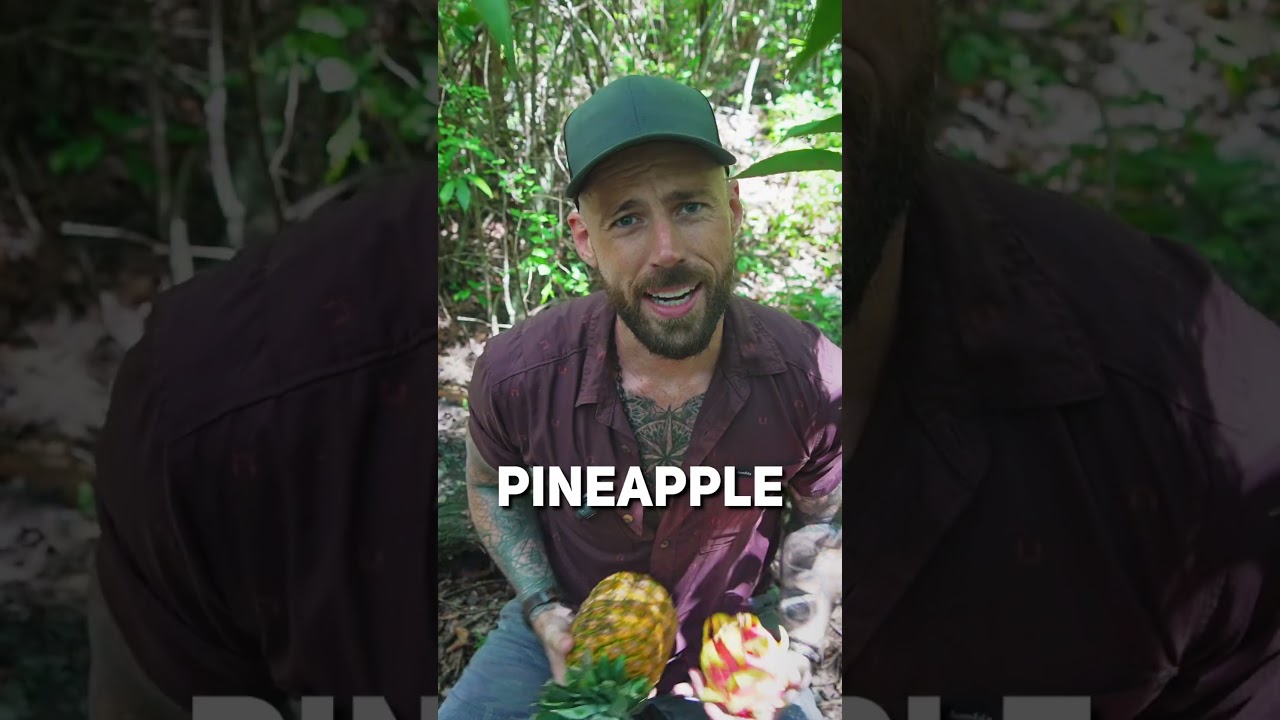 Here’s a secret about people 🍍