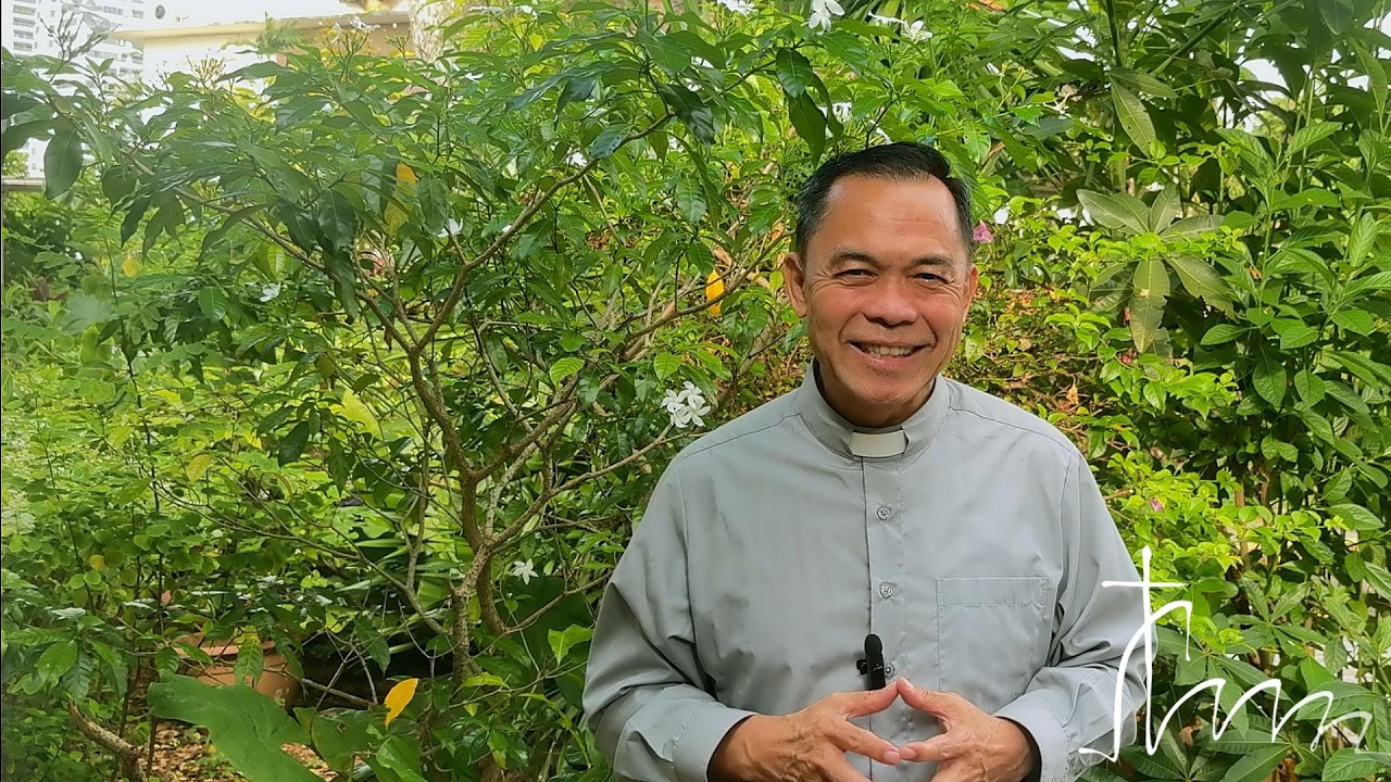 15th Sunday in Ordinary Time 2026 Gospel Reflection