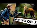 Making of  reportage sur les soigneurs animalier du parc zoologique de jurques  bmpcc 6k pro