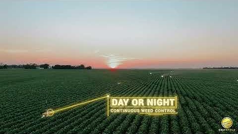 GREENFIELD SWARMING FIELDS | CHEMICAL-FREE FOOD AT SCALE