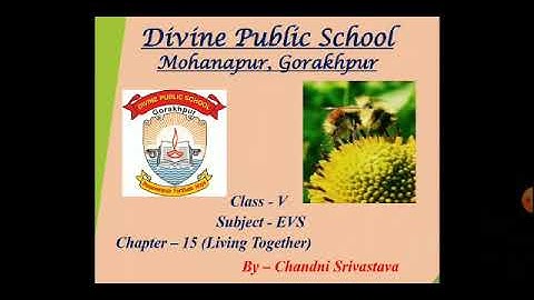 Class-V, Sub-EVS , Ch-15 ( Living Together) By-Chandni Srivastava