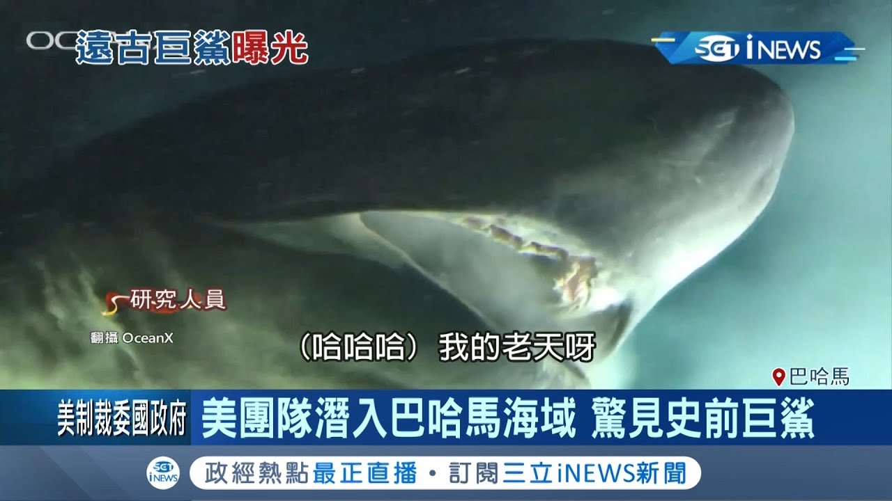 海底巨獸宜蘭現蹤? 網搜龜山島發現\