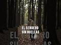🚀El sendero sin huellas | Exploración