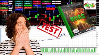 Buas EA MT4 V7.2 Review Backtest and Inputs EA Trading Gold BTC | EcomForex