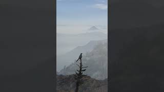 MORRO GUAYACAN, Parque Natural San Carlos de Apoquindo, Las Condes, Región Metropolitana, Chile.