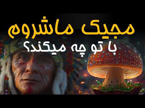 مجیک ماشروم چه می کند قارچی که تو را به دنیای ناشناخته می برد