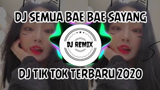 DJ Semua Bae Bae Sayang || DJ VIRAL 2020