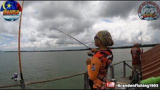 FISHING| Memancing di KELONG HAJI YUSOF, Merlimau, Melaka | 2 MAY 2022 ( Haji Yusof 011-18876303 )
